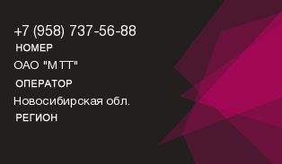 9587375688